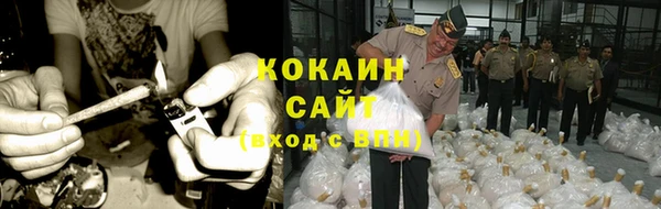 гашик Арсеньев