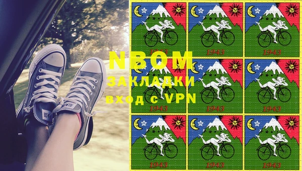 гашик Арсеньев