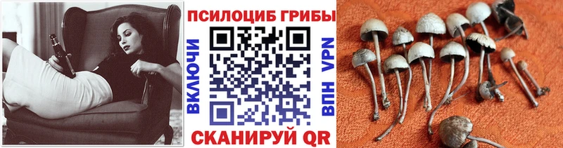Псилоцибиновые грибы мухоморы Соль-Илецк